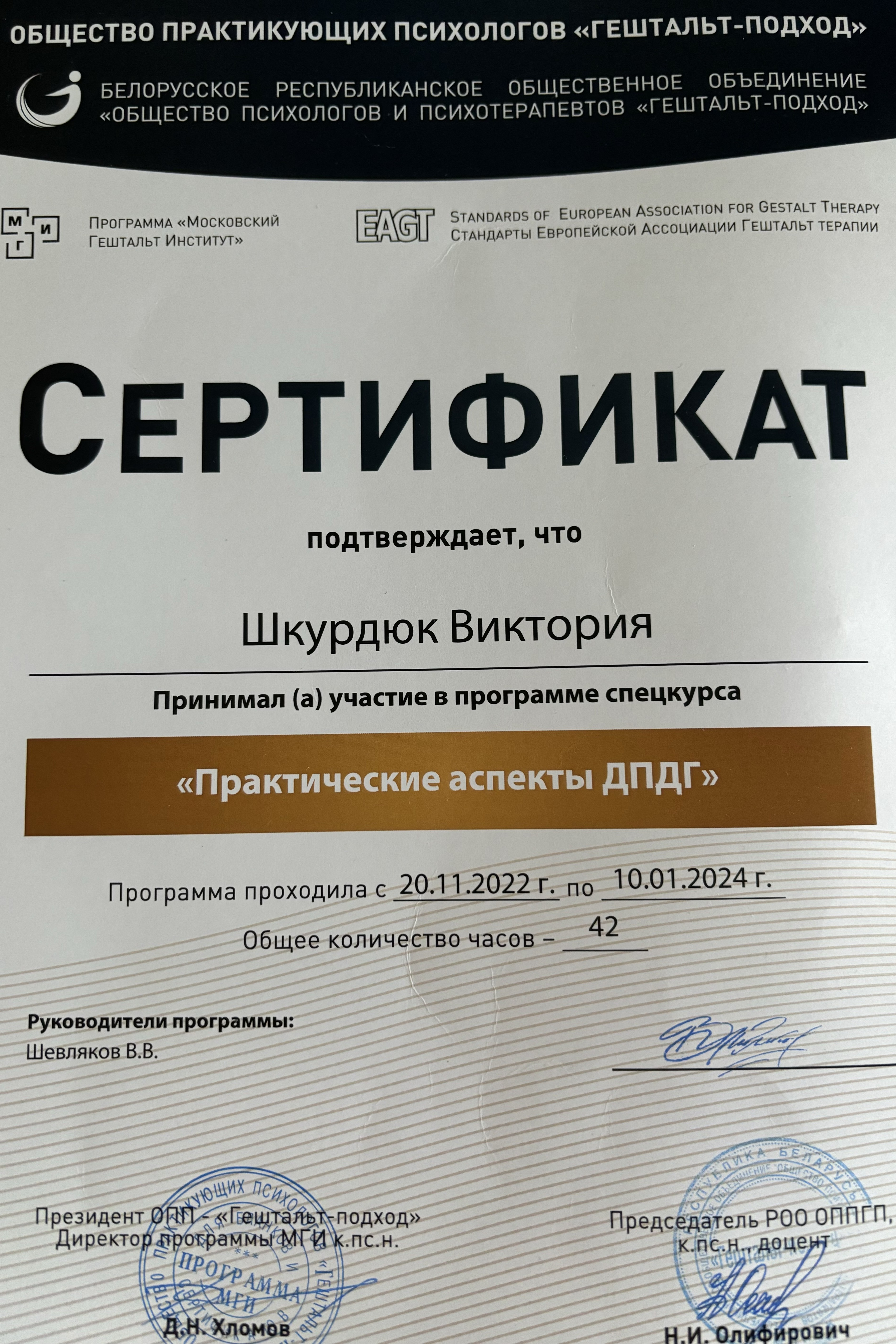 Диплом 8