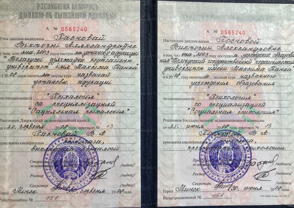 Диплом 1